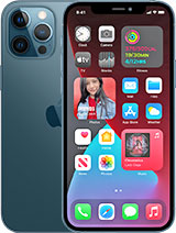 iPhone 12 Pro Max / 6.7